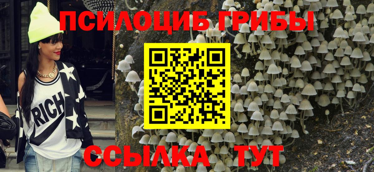 Псилоцибиновые грибы GOLDEN TEACHER Спасск-Дальний
