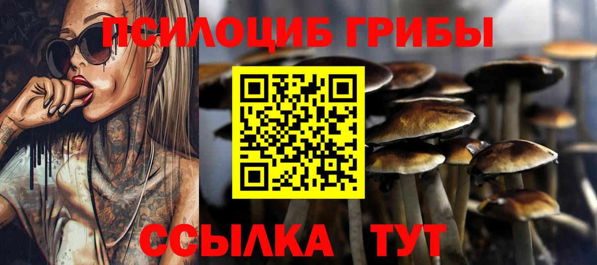 Псилоцибиновые грибы Psilocybine cubensis  Вход с VPN  Спасск-Дальний 